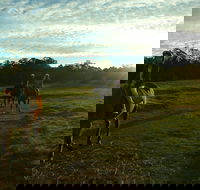 Scenic NSW Horse Riding Centre - Accommodation Mermaid Beach
