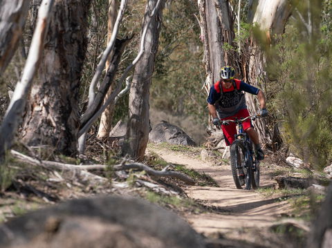 Thredbo Valley Track - Accommodation Mermaid Beach 2