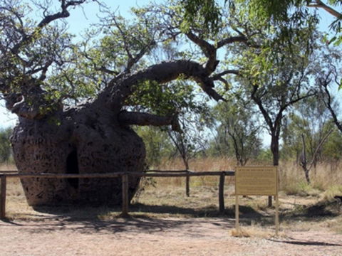Time Walk, Windjana Gorge National Park - Accommodation Mermaid Beach 2