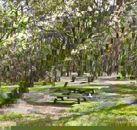Wollomombi Gorge and Falls Picnic Area - Accommodation Mermaid Beach
