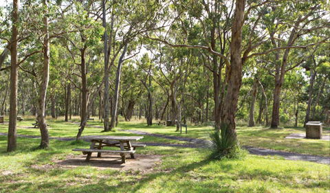 Wollomombi Gorge And Falls Picnic Area - Accommodation Mermaid Beach 0