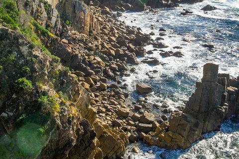 Beaches Of Eden Photographic Discovery Tours - Accommodation Mermaid Beach 21