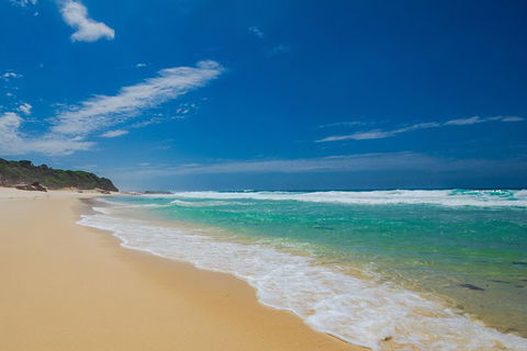 Beaches Of Eden Photographic Discovery Tours - Accommodation Mermaid Beach 17