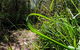 Beaches Of Eden Photographic Discovery Tours - thumb 22