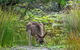 Beaches Of Eden Photographic Discovery Tours - thumb 11