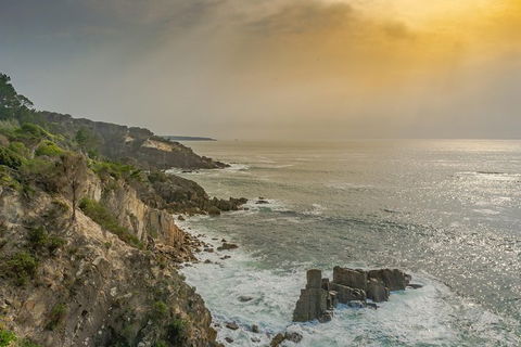 Beaches Of Eden Photographic Discovery Tours - Accommodation Mermaid Beach 9