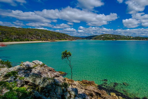 Beaches Of Eden Photographic Discovery Tours - Accommodation Mermaid Beach 15