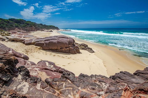 Beaches Of Eden Photographic Discovery Tours - Accommodation Mermaid Beach 7