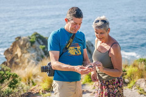 Beaches Of Eden Photographic Discovery Tours - Accommodation Mermaid Beach 18