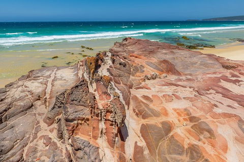 Beaches Of Eden Photographic Discovery Tours - Accommodation Mermaid Beach 16
