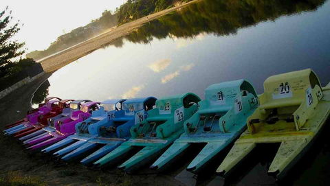 Terrigal Paddle Boats And Stand Up Paddle Boards - Accommodation Mermaid Beach 0