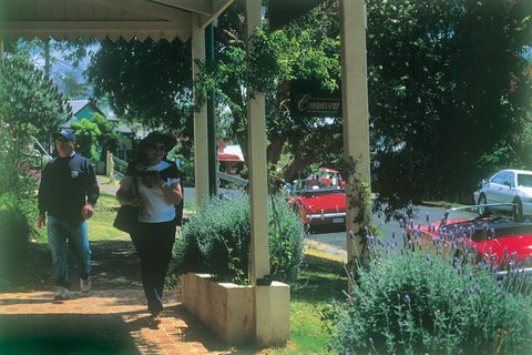Narooma And Tilba Valley Private Tour - Accommodation Mermaid Beach 6