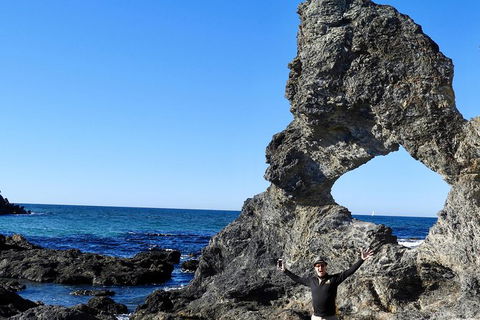 Narooma And Tilba Valley Private Tour - Accommodation Mermaid Beach 4