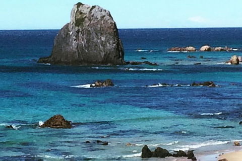Narooma And Tilba Valley Private Tour - Accommodation Mermaid Beach 9