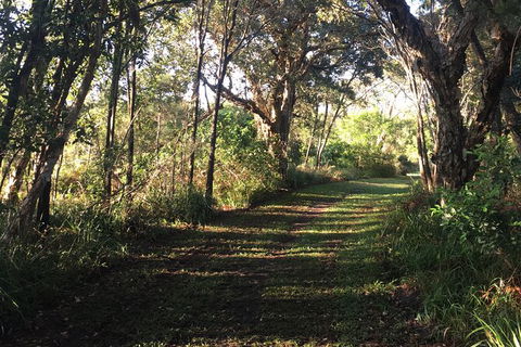 Coffs Harbour To Sawtell Bike Ride - Accommodation Mermaid Beach 7
