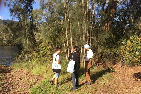 Fishermans Paradise Eco-walk - Accommodation Mermaid Beach 1