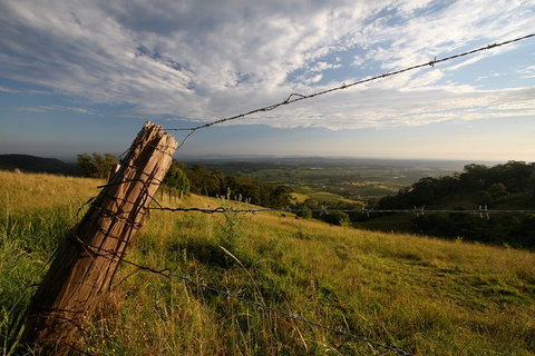 Private Full-Day Wine Tour In Hunter Valley - Accommodation Mermaid Beach 3