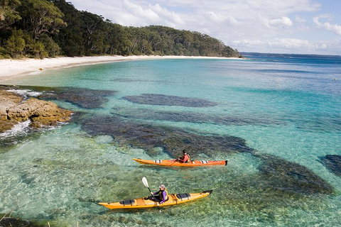 Half-Day Jervis Bay Sea Kayak Tour - Accommodation Mermaid Beach 0