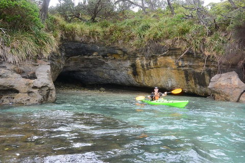 Half-Day Jervis Bay Sea Kayak Tour - Accommodation Mermaid Beach 8