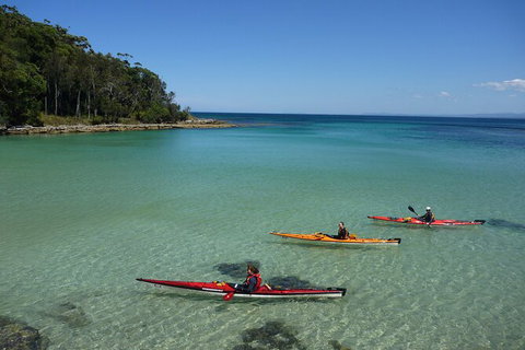Half-Day Jervis Bay Sea Kayak Tour - Accommodation Mermaid Beach 3