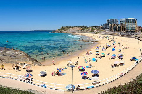 Newcastle Scenic Explorer - 2 Hour Tour By Minibus - Accommodation Mermaid Beach 16