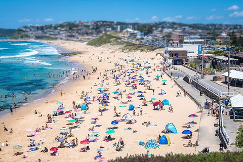 Newcastle Scenic Explorer - 2 Hour Tour By Minibus - Accommodation Mermaid Beach 6