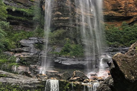 Private 10-hour Tour To Blue Mountains From Sydney - Hotel Pick Up & Drop Off - Accommodation Mermaid Beach 3