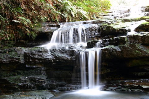 Private 10-hour Tour To Blue Mountains From Sydney - Hotel Pick Up & Drop Off - Accommodation Mermaid Beach 6
