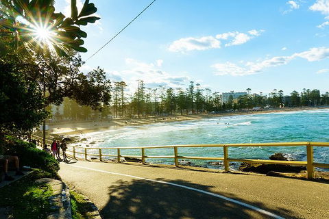 Sydney With Bondi And Beaches Essentials Private Day Tour - Accommodation Mermaid Beach 8