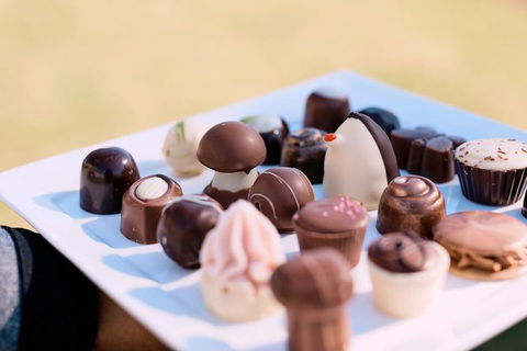 Hunter Valley Highlights Private Wine Tour From Sydney - Accommodation Mermaid Beach 7