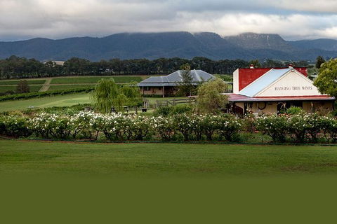 Hunter Valley Highlights Private Wine Tour From Sydney - Accommodation Mermaid Beach 5