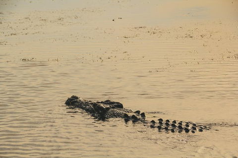 Yellow Water Cruise - Kakadu - Accommodation Mermaid Beach 5