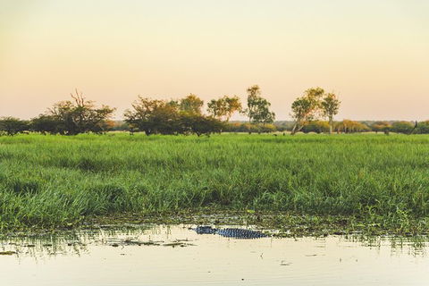 Yellow Water Cruise - Kakadu - Accommodation Mermaid Beach 4