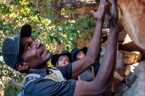 Arnhem Land Injalak Hill Full-Day Tour From Jabiru - Accommodation Mermaid Beach 0