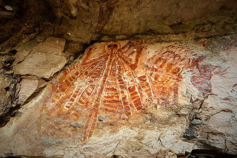 Arnhem Land Injalak Hill Full-Day Tour From Jabiru - Accommodation Mermaid Beach 2