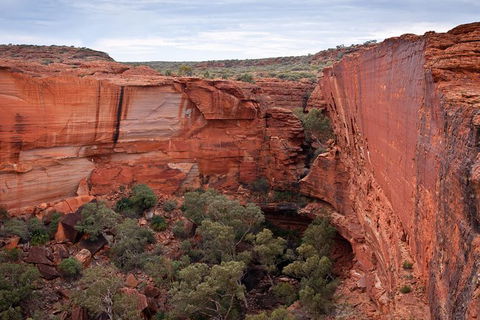 Uluru, Kata Tjuta And Kings Canyon Camping Safari From Alice Springs - Accommodation Mermaid Beach 4