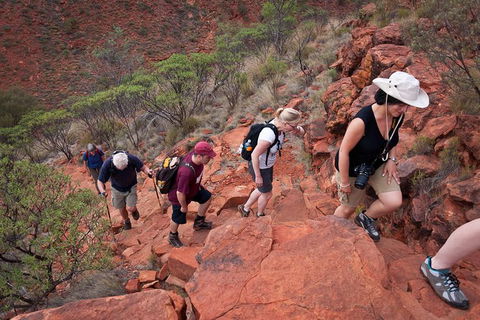 Uluru, Kata Tjuta And Kings Canyon Camping Safari From Alice Springs - Accommodation Mermaid Beach 3