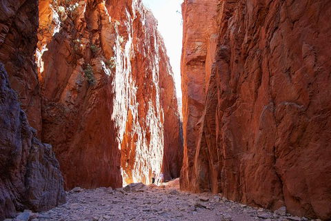 Best Of Alice Springs Full Day Tour - Accommodation Mermaid Beach 6