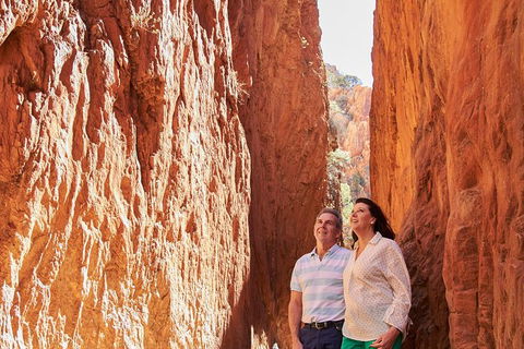 Best Of Alice Springs Full Day Tour - Accommodation Mermaid Beach 4
