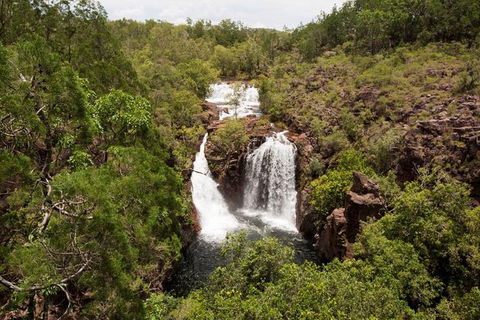 5 Day Kakadu National Park And Arnhem Land Tour - Accommodation Mermaid Beach 1