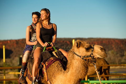 4 Day/3 Night Perentie Dreaming Safari - Accommodation Mermaid Beach 1