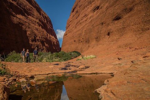 4 Day/3 Night Perentie Dreaming Safari - Accommodation Mermaid Beach 3