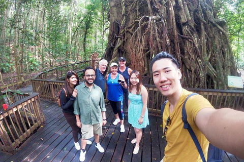 Barron Gorge And Kuranda National Park Half Day Rainforest And Waterfall 4WD Tour From Cairns - Accommodation Mermaid Beach 2