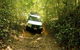 Barron Gorge And Kuranda National Park Half Day Rainforest And Waterfall 4WD Tour From Cairns - thumb 0
