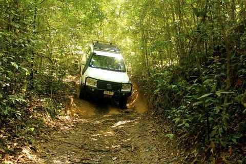 Barron Gorge And Kuranda National Park Half Day Rainforest And Waterfall 4WD Tour From Cairns - Accommodation Mermaid Beach 0