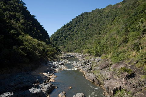 Barron Gorge And Kuranda National Park Half Day Rainforest And Waterfall 4WD Tour From Cairns - Accommodation Mermaid Beach 5