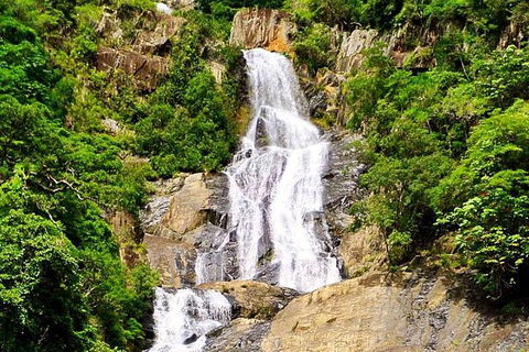 Barron Gorge And Kuranda National Park Half Day Rainforest And Waterfall 4WD Tour From Cairns - Accommodation Mermaid Beach 7