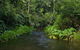 Barron Gorge And Kuranda National Park Half Day Rainforest And Waterfall 4WD Tour From Cairns - thumb 9