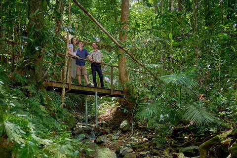 Daintree And Cape Tribulation Tour From Cairns - Accommodation Mermaid Beach 3