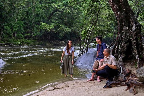 Daintree And Cape Tribulation Tour From Cairns - Accommodation Mermaid Beach 2